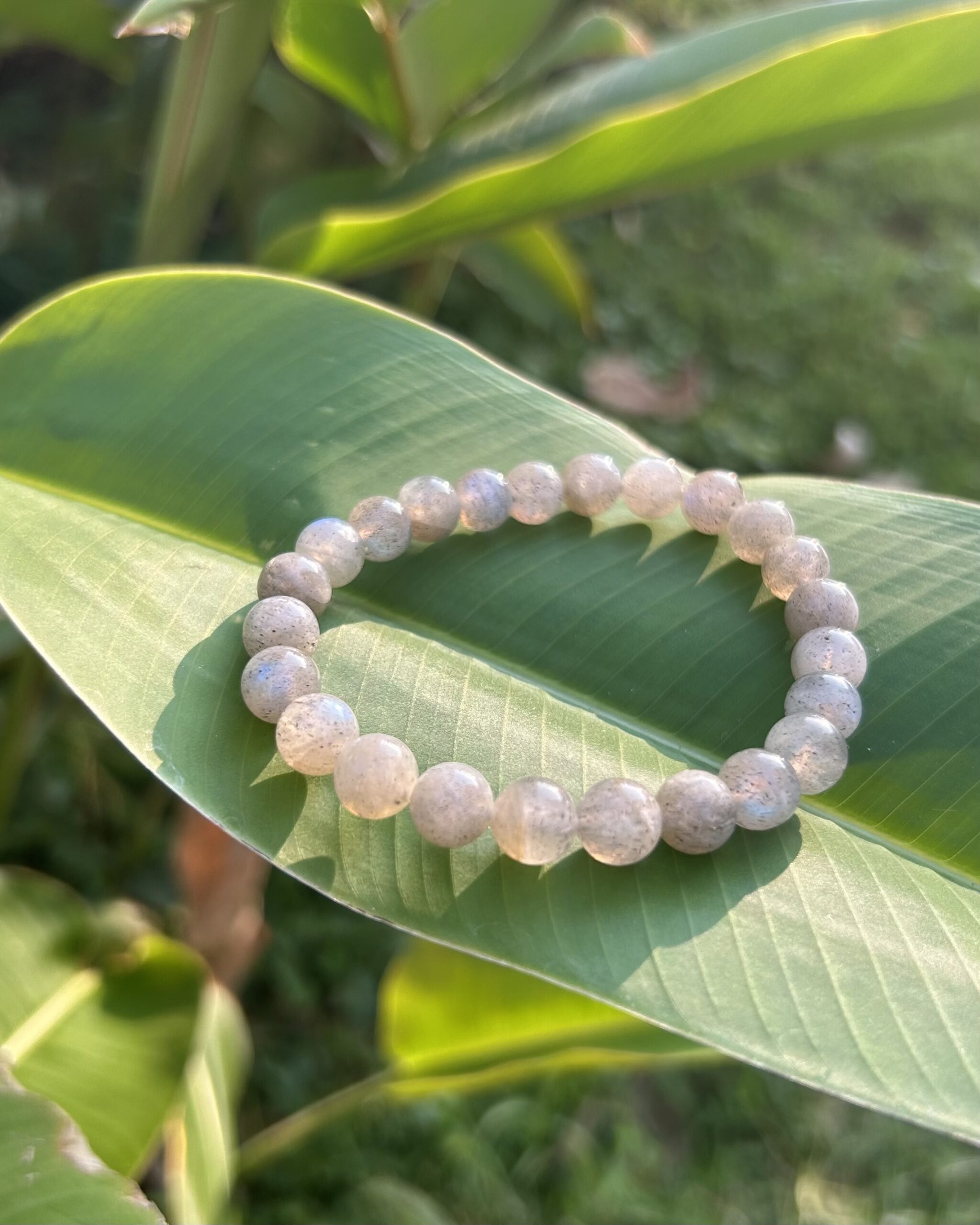 Labradorite Bracelet 8mm