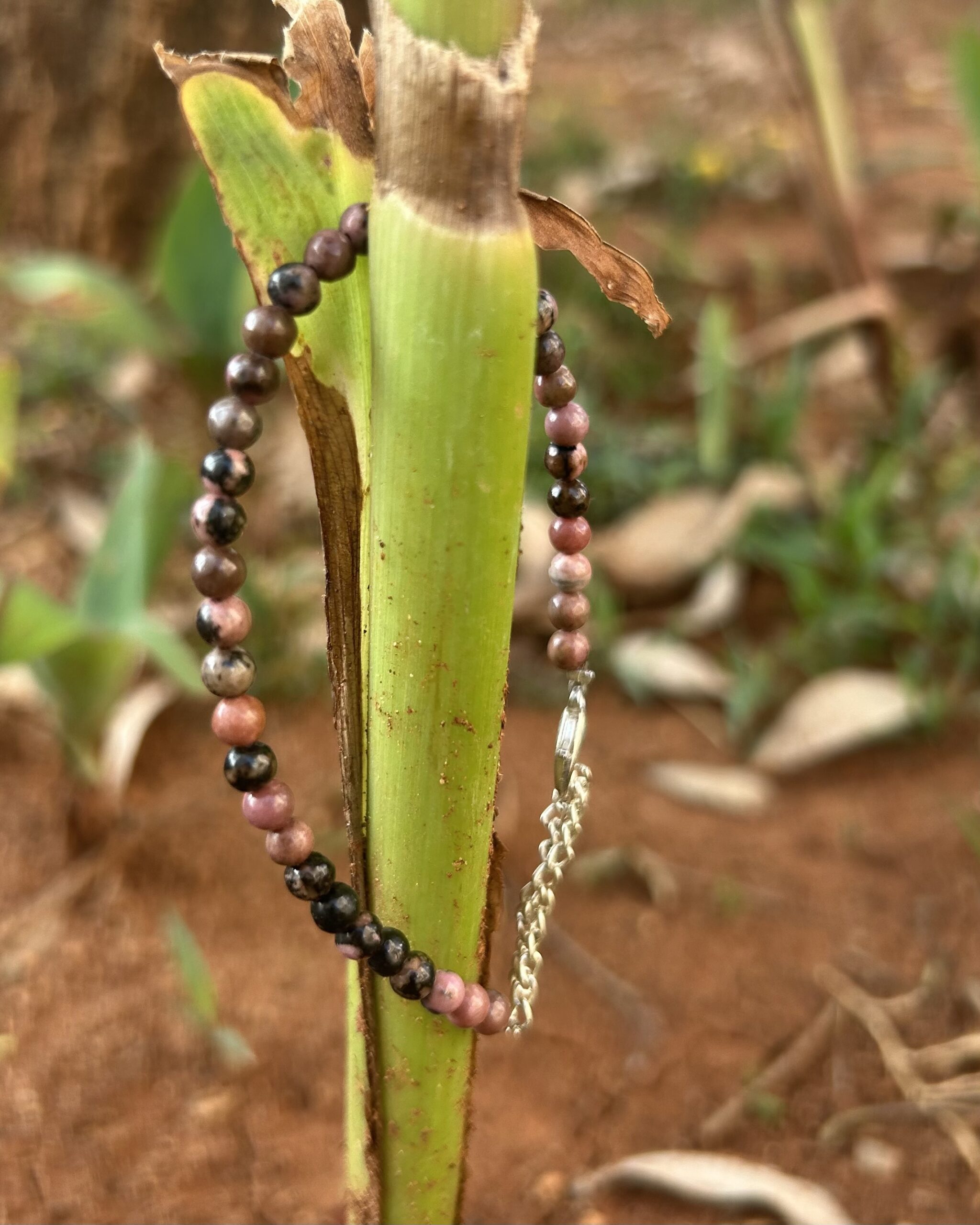 Rhodonite Bracelet