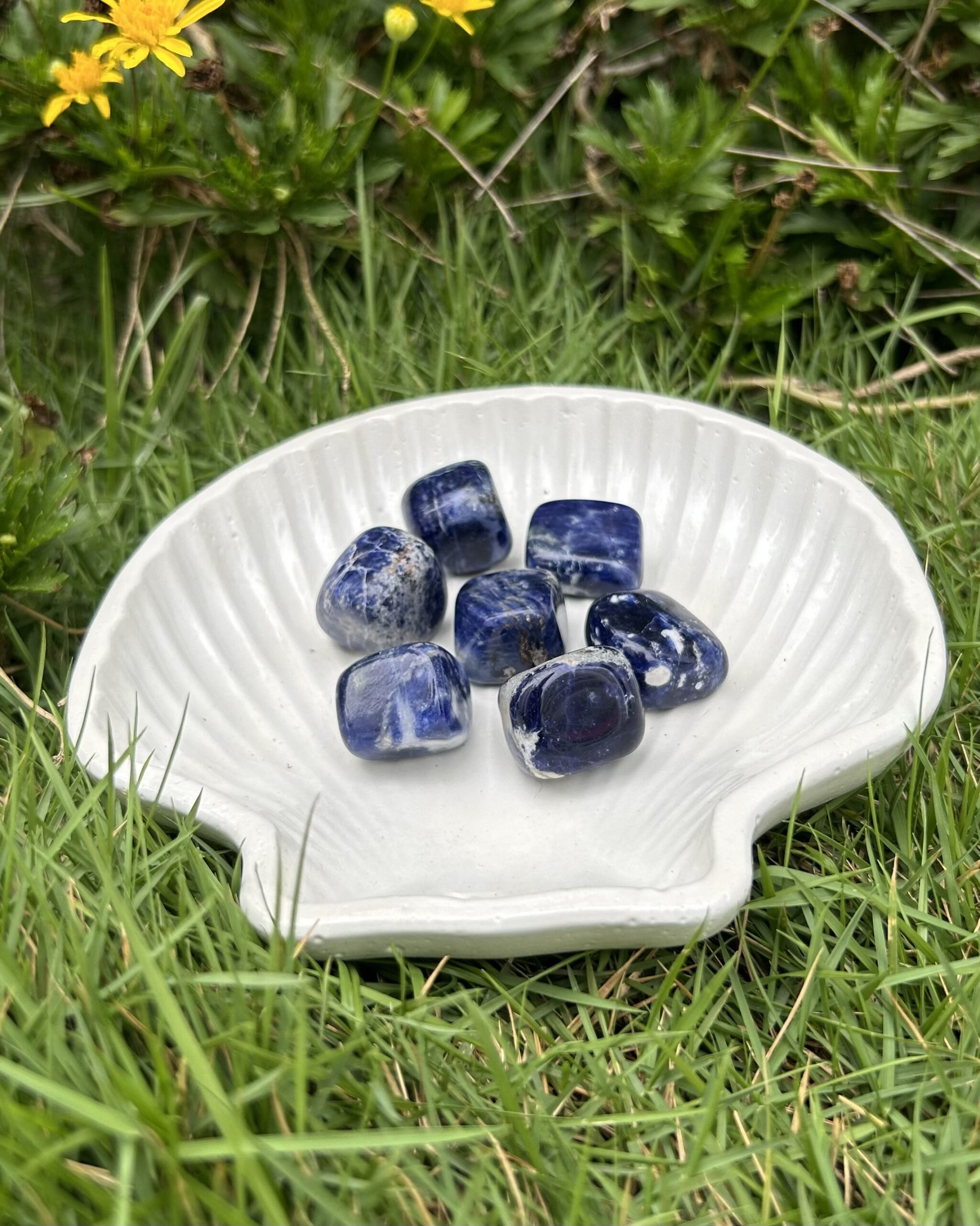 Sodalite Tumble
